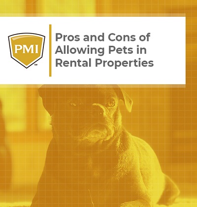 Pros and Cons of Allowing Pets in Rental Properties